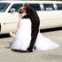 Thumbnail link to picture #14